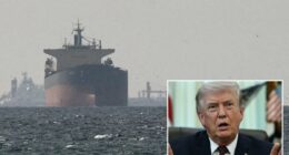 Trump says Iran asked for cease-fire â but US will bomb regime 'back to the Stone Ages' until Strait of Hormuz opens